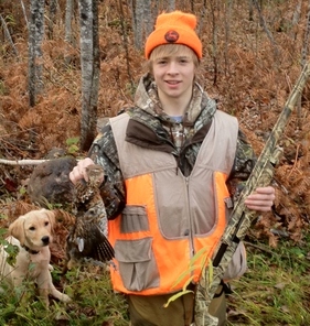 Yellow Labrador pups